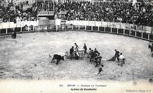 Oran - Arenes de Gambetta